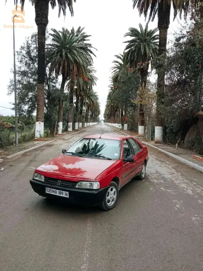 Peugeot 405 1989 16 ALGER
