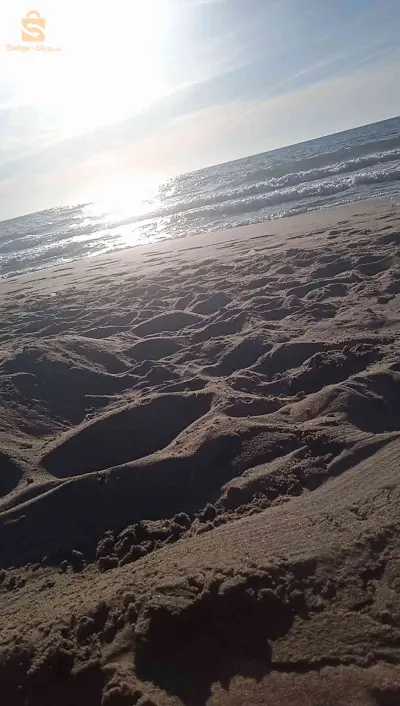 بيع عقار