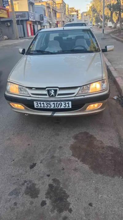 Peugeot 405 2009 29 MASCARA