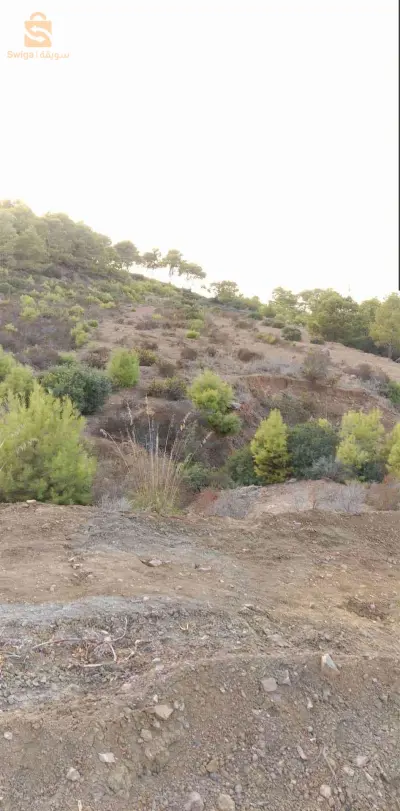 أرض سياحية