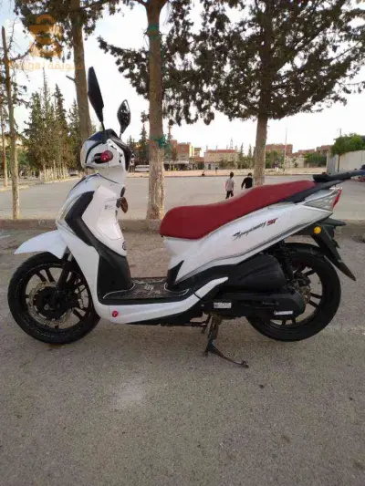 نبيع ولا نبرز بسيارة