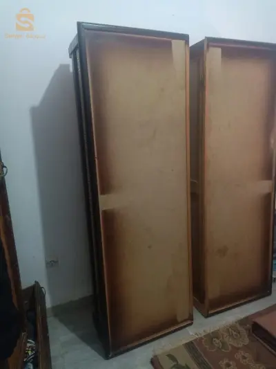 كنابيات