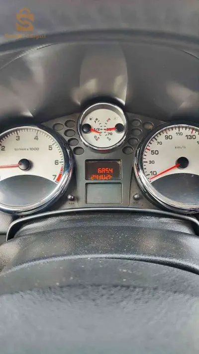 Peugeot 207 2013 16 ALGER