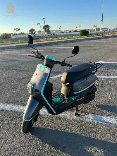 Moto VMS estate 2022