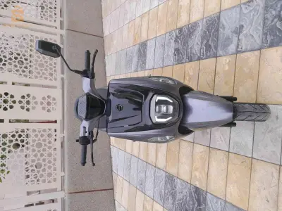 كوكسي