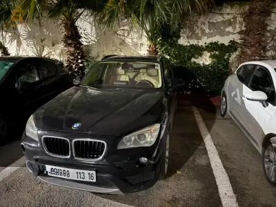 BMW Series X 2013 16 ALGER