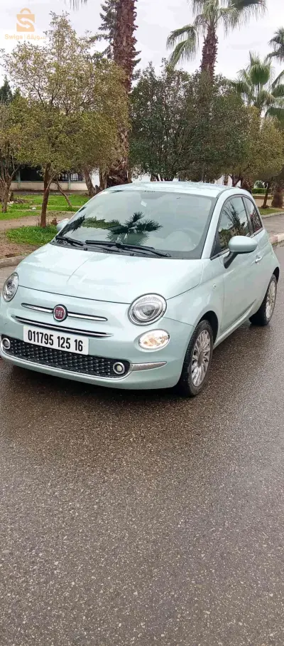 Fiat 500 2025 16 ALGER