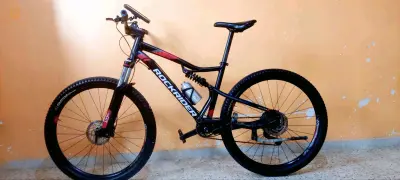 روكرايدر St530s