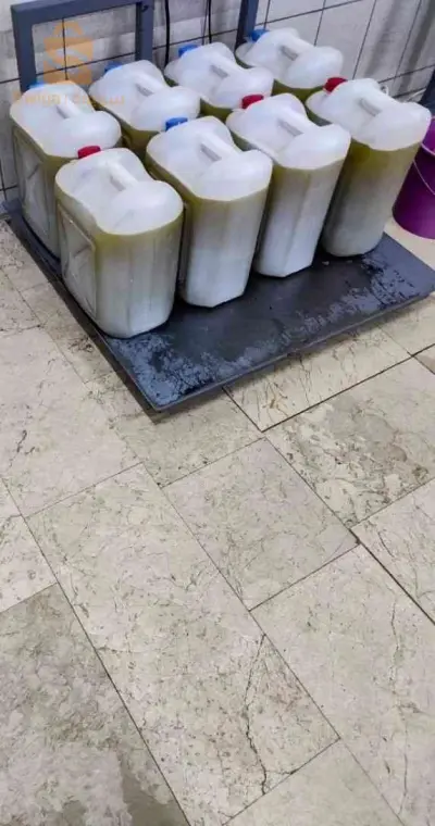 زيت الزيتون