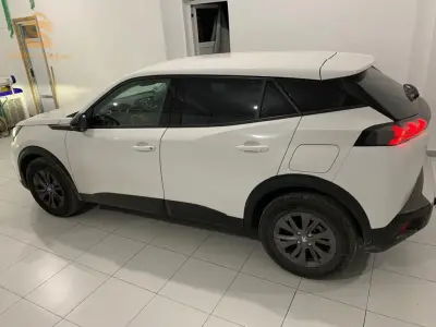 Peugeot 2008 2022 16 ALGER