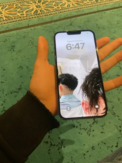 iPhone 13 Pro Max