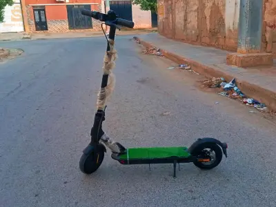 تروتينات ايلكتريك