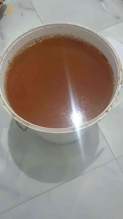 عسل السدر حر