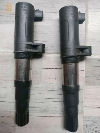 بوبينا رونو