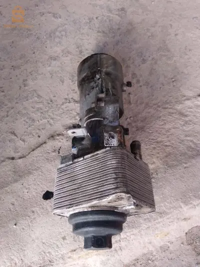 تاربو و فرواديسور للبيع