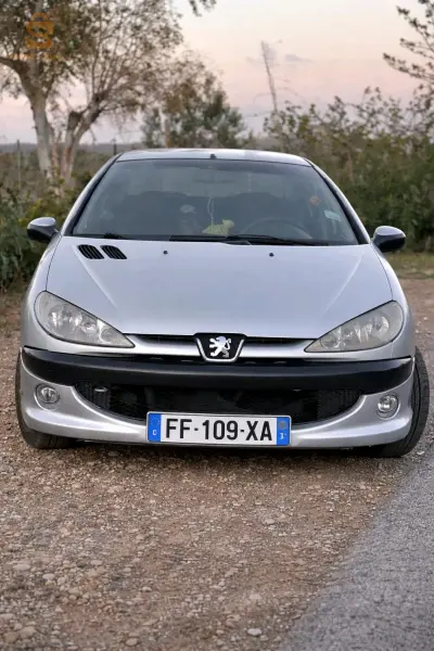 بيجو 206 2009 31 وهران