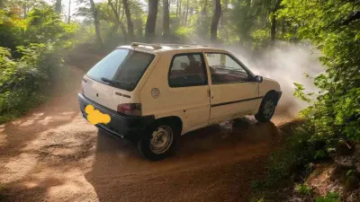 بيجو 106 1995 40 خنشلة