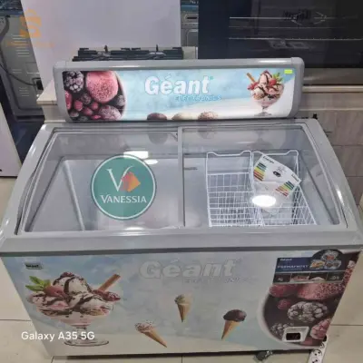 Congélateur Présentoir Marque Géant 353L