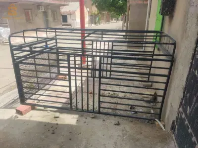 شيري ريدال