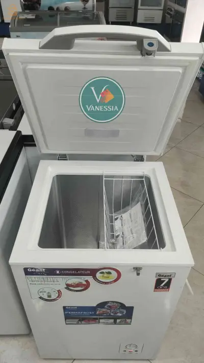 Congélateur Marque Géant 100L