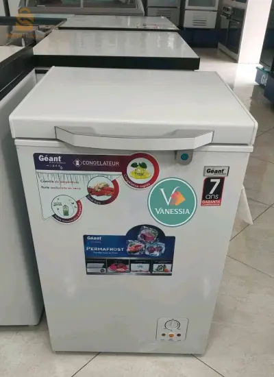 Congélateur Marque Géant 100L