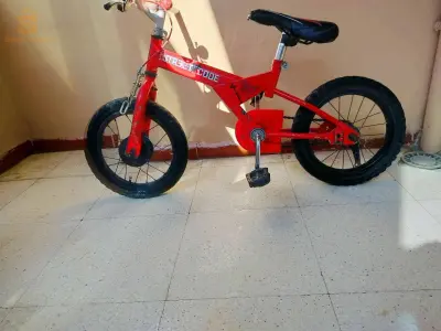 بيع داجات