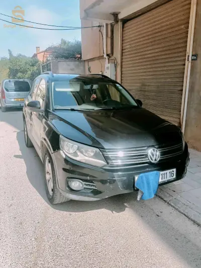 Volkswagen Tiguan 2011 ALGER