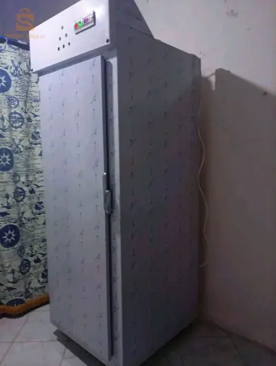 مبرد دجاج