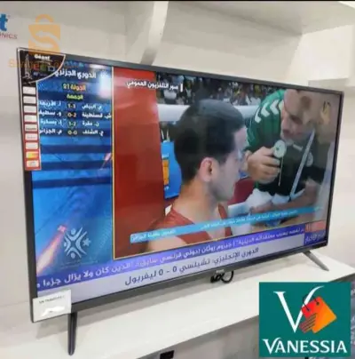 Télévision 42p simple marque géant