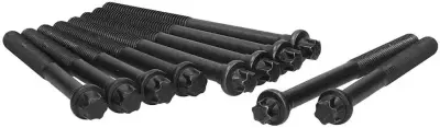 7700738986 Renault Kangoo Cylinder Head Bolt Set 81002900
